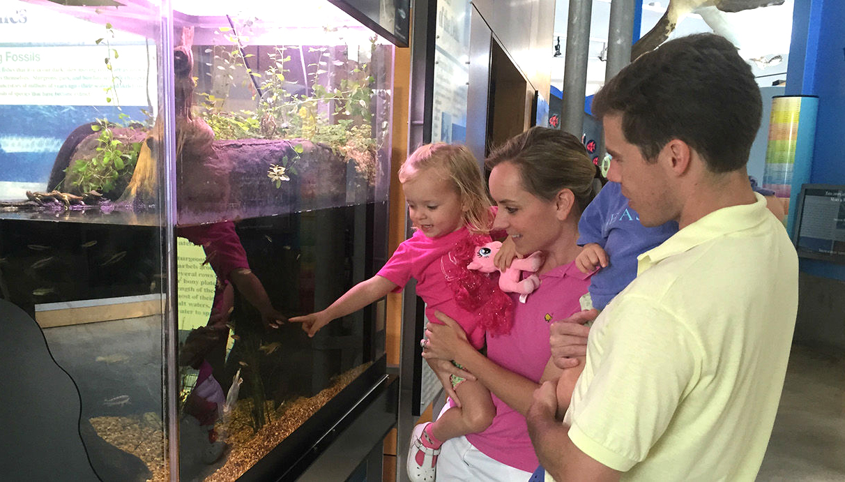 Learn about the Gulf Coast at Dauphin Island Sea Lab’s Estuarium