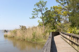Alabama Coastal Conservation Programs
