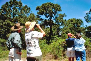 Bird watchers