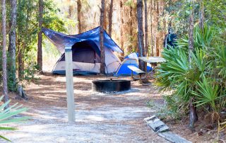 Tent Camping at Gulf State Park