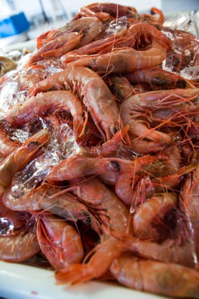platter of gulf shrimp