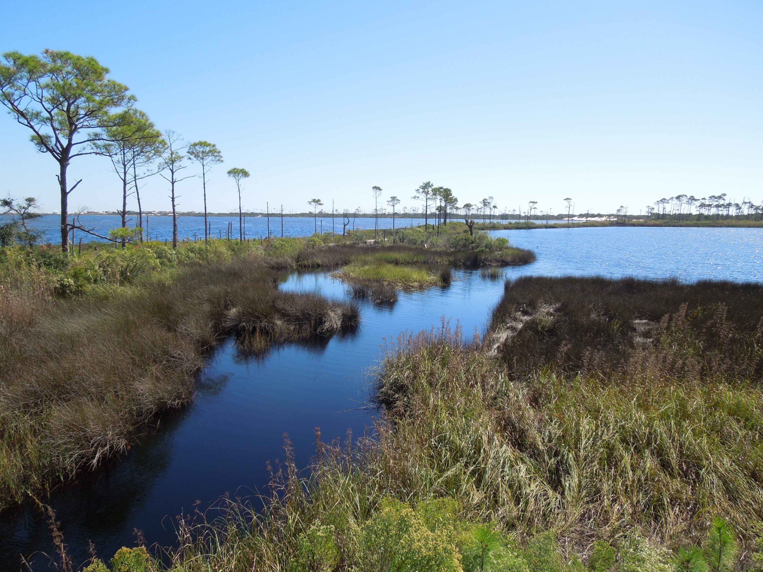 Get off the beaten path in Bon Secour National Wildlife Preserve ...