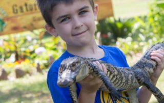 child holding baby alligator